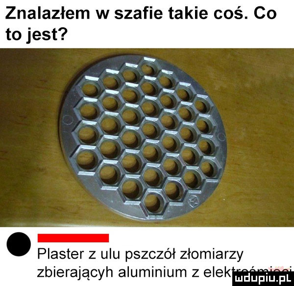 znalazłem w szafie takie coś. co to jest. s. abakankami z. plaster z ulu pszczół złomiarzy zbierającyh aluminium   elek an aurą