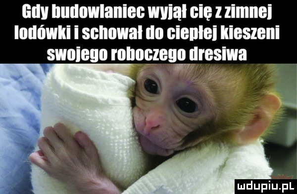 gay budowlaniec wvial cie zimnei lodówki i schowal do eienlei kieszeni swoieuo roboczego dresowa