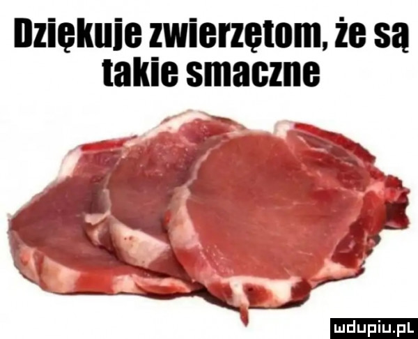 nziękuie zwierzętom. że są takie smaczne