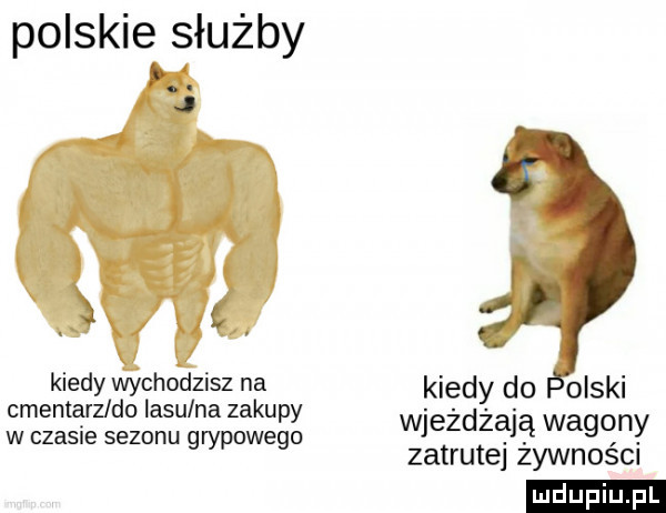 polskie służby j    . kiedy wychodzisz na cmentarz do lasu na zakupy w czasie sezonu grypowego kiedy do obski wjeżdżają wagony zatrutej żywności ludu iu. l