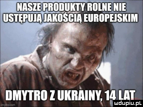 idasie piioiiiilty illlllle icie ihs i ęi ilia jakością eiiiiiii emskim irmy i bai l krainy ifldlup a i u pl