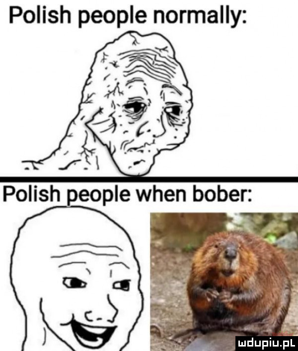 polish people normalny