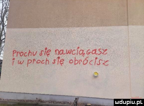 frochv nru           w ploch się obróclfz f