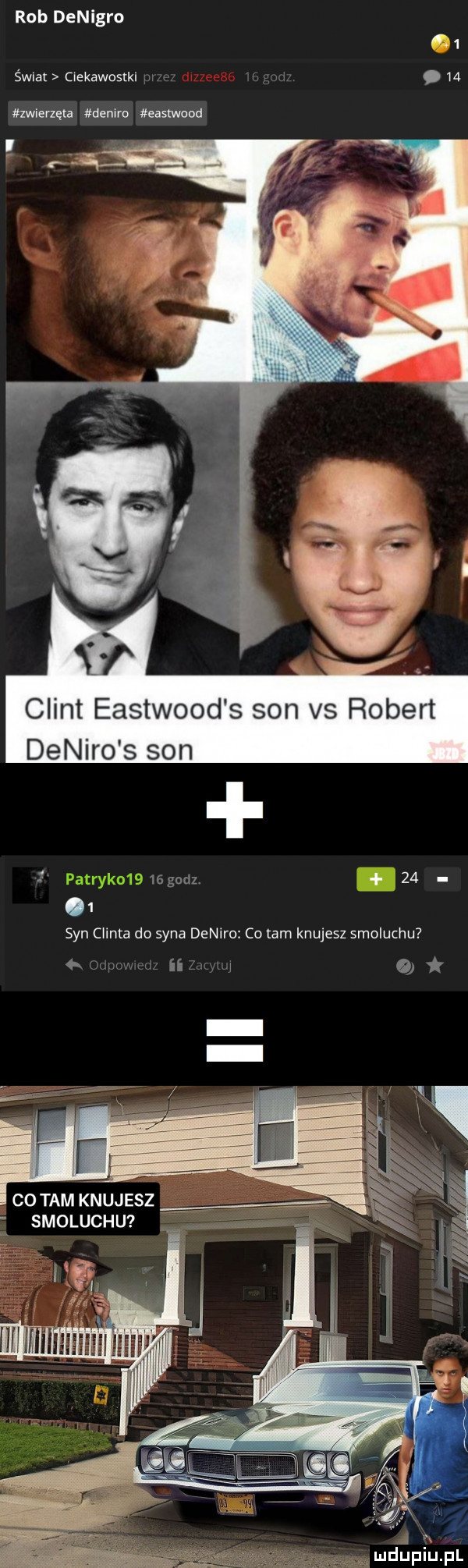 rob denigro świat cwekawostkl.    zwierzęta deniro eastwood clint eastwood s son vs robert deniro s son w godz   .   syn clinta do syna deniro co am knujesz smoluchu ii o icotamknujesz x smoluchu na tą x mdupihpl