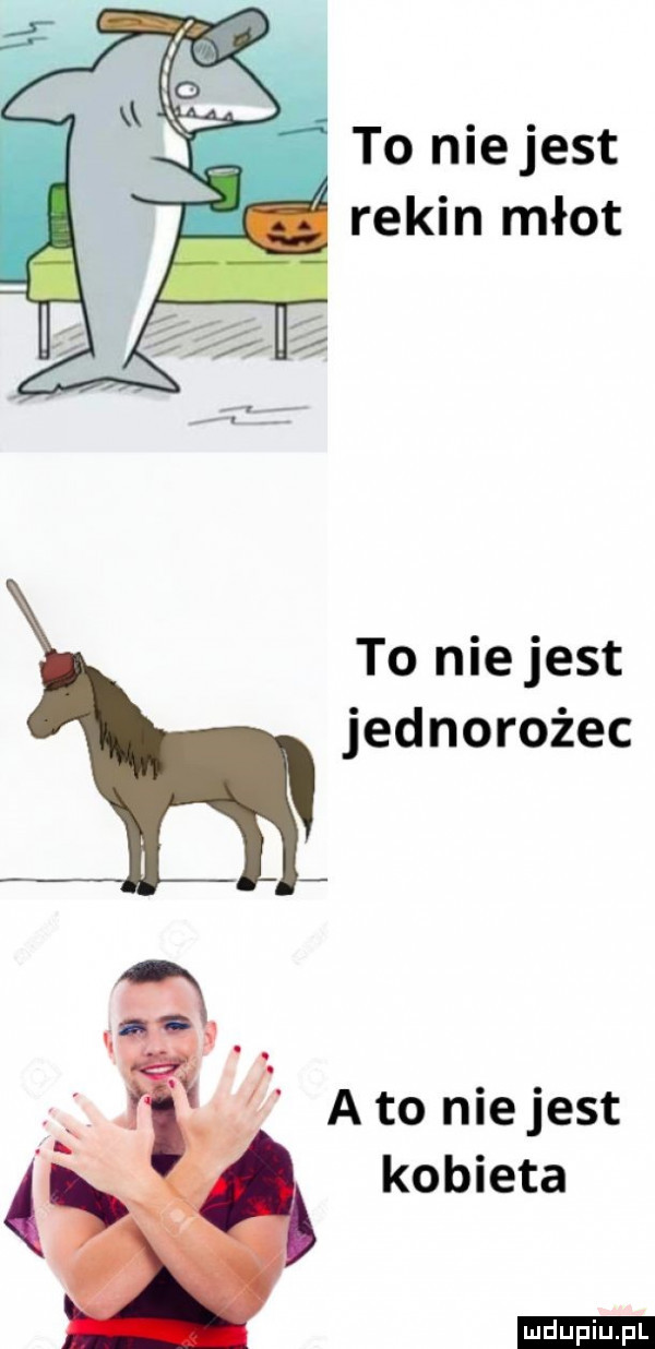 to nie jest rekin młot to nie jest jednorożec kobieta ludu iu. l