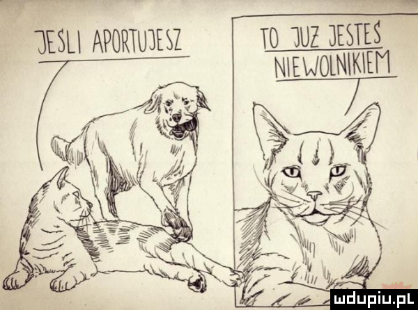 g esu aportujesz to  uz jesteś niewolnikiem