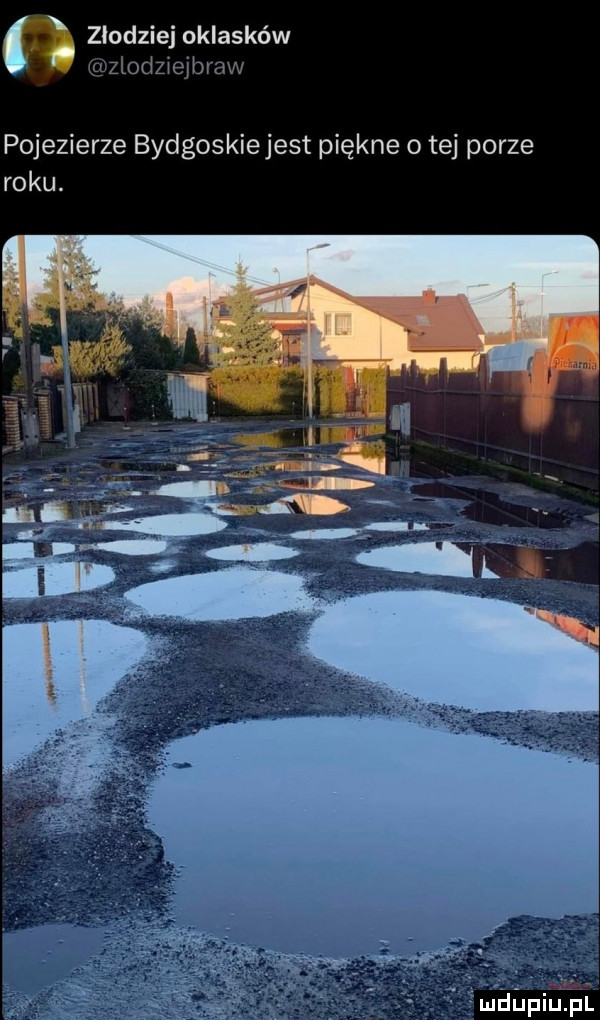 złodziej oklasków izlodziejbraw pojezierze bydgoskiejest piękne o tej porze roku