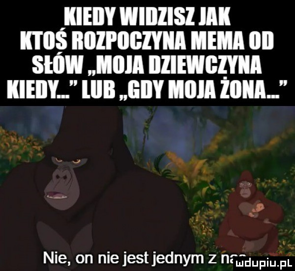 kieiiy wiiiiisi idk ktos iiiizi iigzyiia mhm iii slow iiiiia iiziewgęyiia kieiiy limb eiiy imam    nie on nie jest jednym z nrgdupiu pl