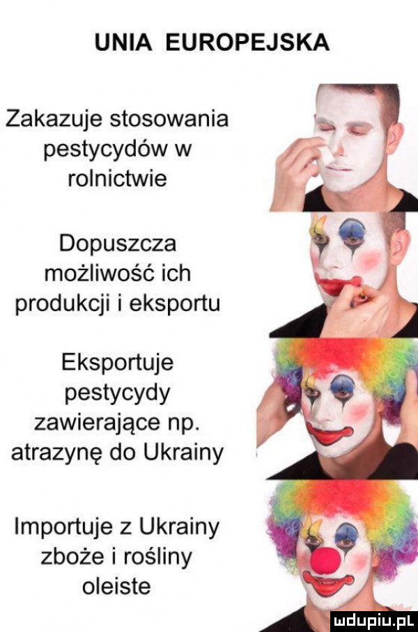 unia europejska zakazuje stosowania pestycydów w rolnictwie dopuszcza możliwość ich produkcji i eksportu eksportuje pestycydy zawierające np. atrazynę do ukrainy importuje z ukrainy zboże i rośliny oleiste