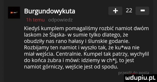 burgundowykuta    lwów kiedyś kumplem pomagaliśmy rozbić namiot dwóm laskom że śląska w sumie tylko dlatego że obudzily nas rano halasy i ślunskie gadanie. rozbijamy ten namiot i wyszło tak że ku wa nie mial wejścia. centralnie. kumpel tak patrzy wychylil do końca żubra i mó idzlemyw ch j to jest namiot górniczy wejście jest od spodu. mclupiupl