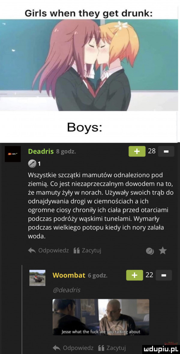 girls wien they get drink deadris       wszystkie szczątki mamutów odnaleziono pod ziemia. cojest niezaprzeczalnym dowodem na to że mamuty zysy w norach. używały symch trąb do odnajdywania drogi w ciemnościach a ich ogromne ciosy chroniły ich ciała przed otarciarni podczas podrazy wąskimi tunelami. wymarły podczas wielkiego potopu kiedy ich nory zwiała woda. zz
