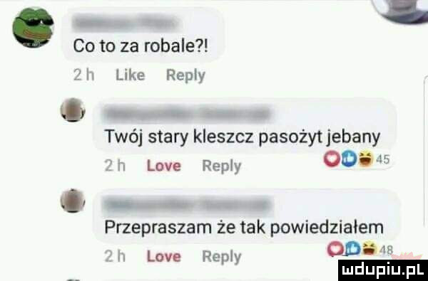 co to za robale f ll like repry twój stary kleszcz pasożyt jebany. n live repry ob      przepraszam że tak powiedzialem. live repry        ludu iu. l