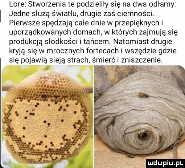 lore stworzenia te podzieliły się na dwa odłamy jedne służą światłu drugie zaś ciemności. pierwsze spędzają całe dnie w przepięknych i uporządkowanych domach w których zajmują się produkcją słodkości i tańcem. natomiast drugie kryją się w mrocznych fortecach i wszędzie gdzie się pojawią sieją strach śmierć i zniszczenie