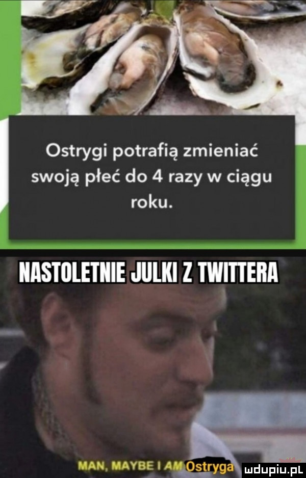 ostrygi potrafią zmieniać swoją płeć do   razy w ciągu roku. iiistilletiiie julki z twﬂtebll ian maybe l   yg