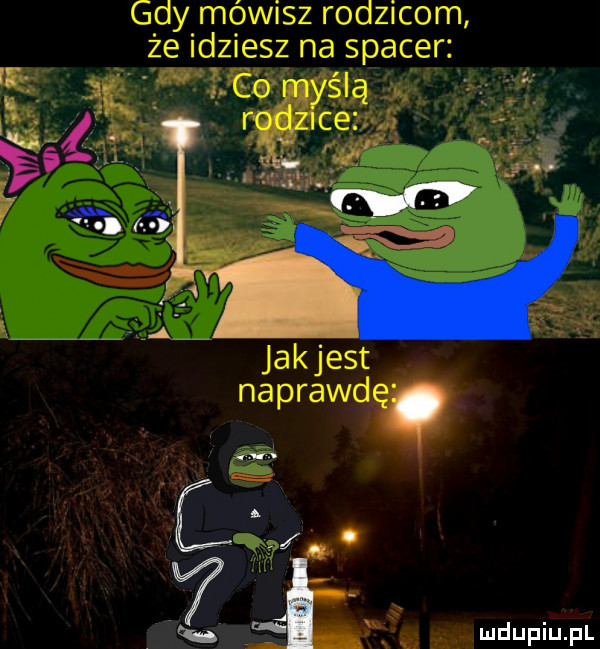lis. w    k gałąź gdy mówisz rodzicom że idziesz na spacer jakjest naprawd x c  . r