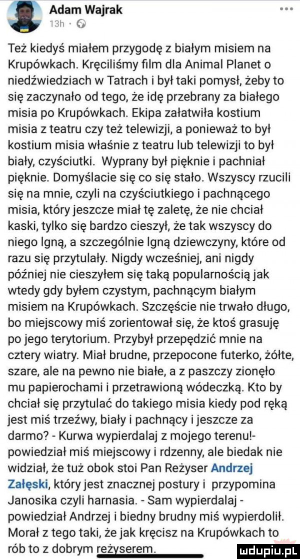 adam wajrak i też kiedyś miałem przygodę z bialym misiem na krupówkach. kręciliśmy ﬁlm dla animal planet niedźwiedziach w tatrach i był taki pomysł żeby to się zaczynało od tego że idę przebrany za białego misia po krupówkach. ekipa załatwiła kostium misia z teatru czy też telewizji a ponieważ to był kostium misia właśnie z teatru lub telewizji to był bialy czyściutki. wyprany był pięknie i pachniał pięknie domyślacie się co się stało. wszyscy rzucili się na mnie czyli na czyściutkiego i pachnącego misia któryjeszcze miał tę zaletę że nie chcial kaski tylko się bardzo cieszył ze tak wszyscy do niego inną a szczególnie lgną dziewczyny które od razu się przytulały. nigdy wcześniej ani nigdy później nie cieszyłem się taką popularnością jak wtedy gdy byłem czystym pachnącym białym misiem na krupówkach. szczęście nie trwało długo bo miejscowy miś zorientował się że ktoś grasuję po jego terytorium. przybył przepędzić mnie na cztery wiatry. miał brudne przepocone futerko żółte szare ale na pewno nie białe a z paszczy zionęło mu papierochami i przetrawioną wódeczką kto by chciał się przytulać do takiego misia kiedy pod ręką jest miś trzeźwy biały i pachnący ijeszcze za darmo kurwa wypierdalaj z mojego terenu powiedział miś miejscowy i rdzenny ale biedak nie widział że tuż obok stoi pan reżyser andrzej załęski który jest znacznej postury i przypomina janosika czyli harnasia sam wypierdalaj powiedział andrzej i biedny brudny miś wypierdolił. morał z tego taki ze jak kręcisz na krupówkach to rób to z dobrym reżyserem