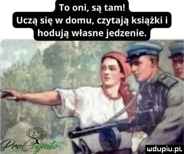 to oni są tam uczą się w domu czytają książki i hodują własnejedzenie