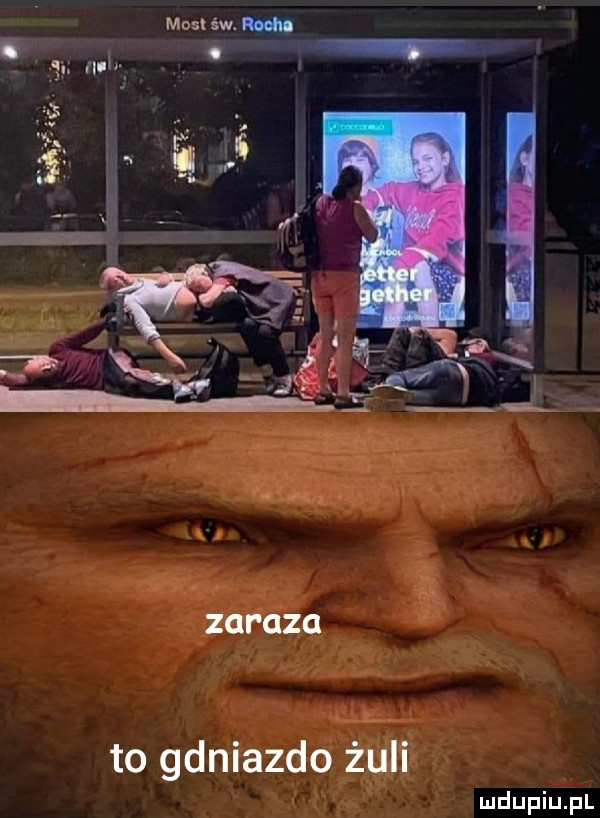 zhi gag to gdniazdo żuli