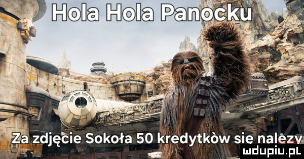 hang ha pan m ﬂ wba zdjęcie sokoła    kredytkow sie nalezv ludupiu. pl