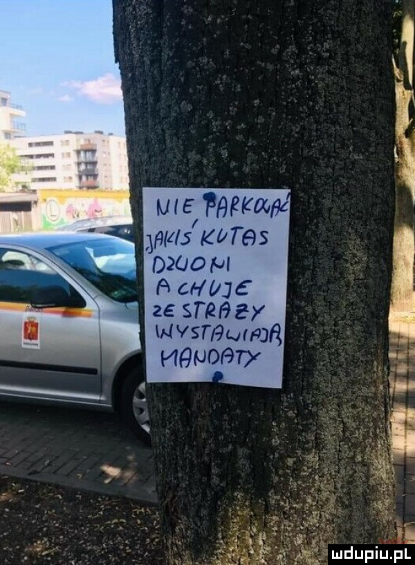 we pﬁﬂmﬁc was       owo m a ct lajć ze sam   nvsthmhjr mamom mdupiupl