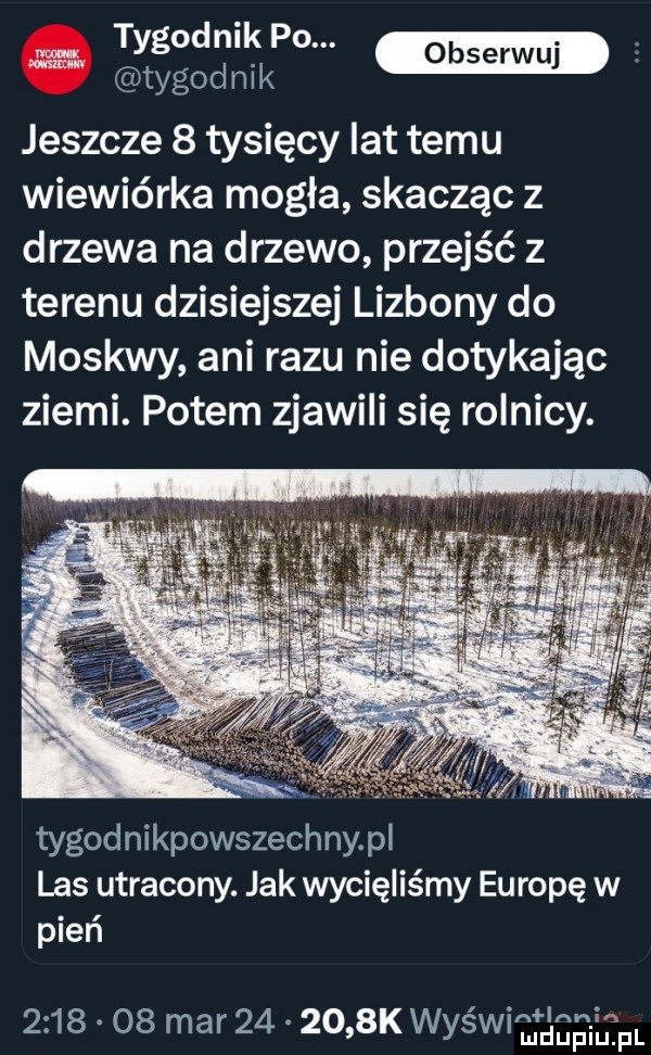 tygodnikpo. m e tygod nik jeszcze   tysięcy lat temu wiewiórka mogła skacząc z drzewa na drzewo przejść z terenu dzisiejszej lizbony do moskwy ani razu nie dotykając ziemi. potem zjawili się rolnicy. tygodnikpowszechnypl las utracony. jak wycięliśmy europę w pień         mar        k was wi ﬂglg il jal