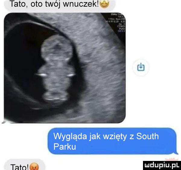 tato oto twój wnuczek tomi