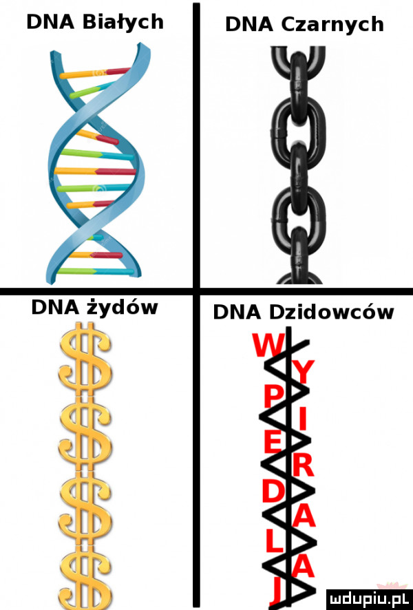 dna białych dna czarnych h dna żydów dna dzidowców i d l