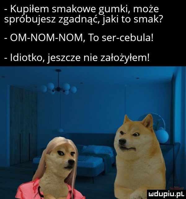kupiłem smakowe gumki może sprobujesz zgadnąć jaki to smak om nom nom to ser cebula idiotko jeszcze nie założyłem