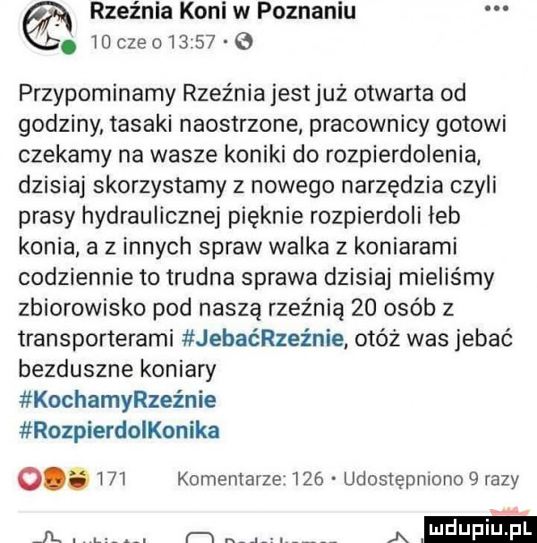 rzeźnia koni w poznaniu f.    czao       przypominamy rzeźniajestjuż otwarta od godziny tasaki naostrzone pracownicy gotowi czekamy na wasze koniki do rozpierdolenia dzisiaj skorzystamy z nowego narzędzia czyli prasy hydrauliczne pięknie rozpierdoli łeb konia a z innych spraw walka z koniarami codziennie to trudna sprawa dzisiaj mieliśmy zbiorowisko pod naszą rzeźnią    osób z transporterami jebaćrzeżnie otóż was jebać bezduszne koniary kochamszeźnie rozpierdoikonika o.     komentarze     udostępniono   razy