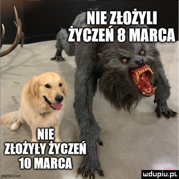upiu pl