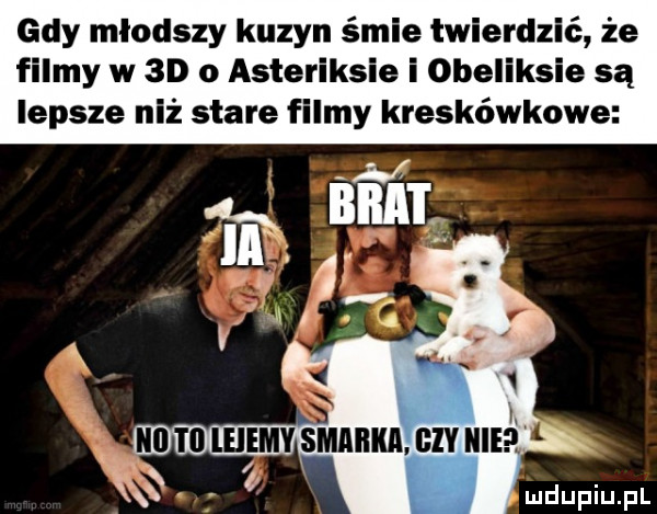 gdy młodszy kuzyn śmie twierdzić że filmy w  d   asteriksie i obeliksie są lepsze niż stare filmy kreskówkowe