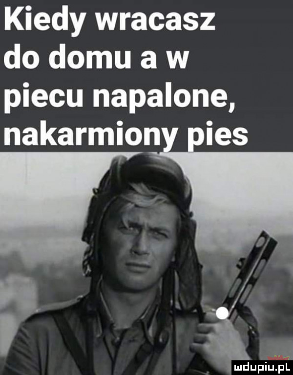 kiedy wracasz do domu a w piecu napalone nakarmion ihs