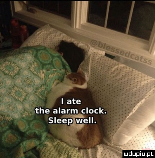 he alarm clock. sleiępiwell