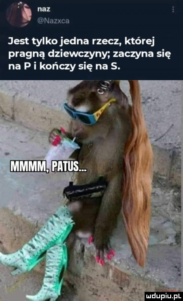 nu anxca jest tylkojedna rzecz której pragną dziewczyny zaczyna się na p i kończy się na s