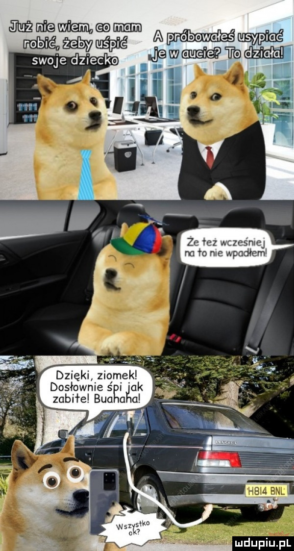 mmm u. ammﬁ méprobowaies roblc zebyﬂﬁ  mw dwtgjhh swoje dziecko dzięki ziomek dosłownieś ak zabiła bla a a