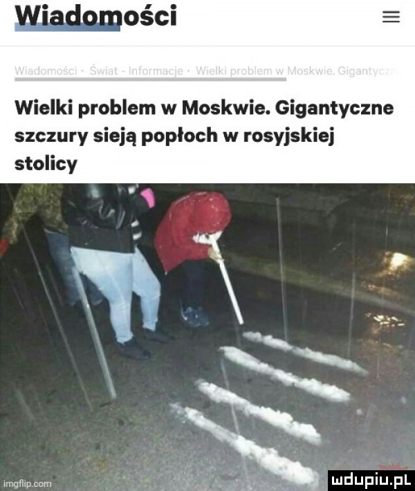 waść wielki problem w moskwie. gigantyczne szczury sieją poploch w rosyjskiej stolicy mdupiﬁpl mgﬂw cum