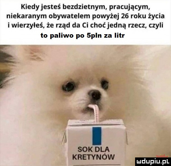 kiedyjesteś bezdzietnym pracującym niekaranym obywatelem powyżej    roku życia i wierzyłeś. że rząd da ci choćjedną rzecz czyli to paliwo po  p n za litr. abakankami i w sex dla kretynów