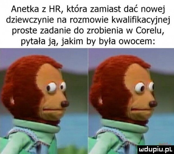 anetka   hr która zamiast dać nowej dziewczynie na rozmowie kwalifikacyjnej proste zadanie do zrobienia w corelu pytała ją jakim by była owocem i
