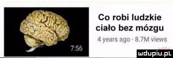 co robi ludzkie cialo bez mózgu ludu iu. l