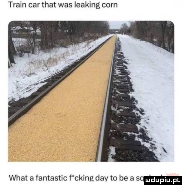 twain car trat was leasing cern wiat a fantastic f cking div to be a sm
