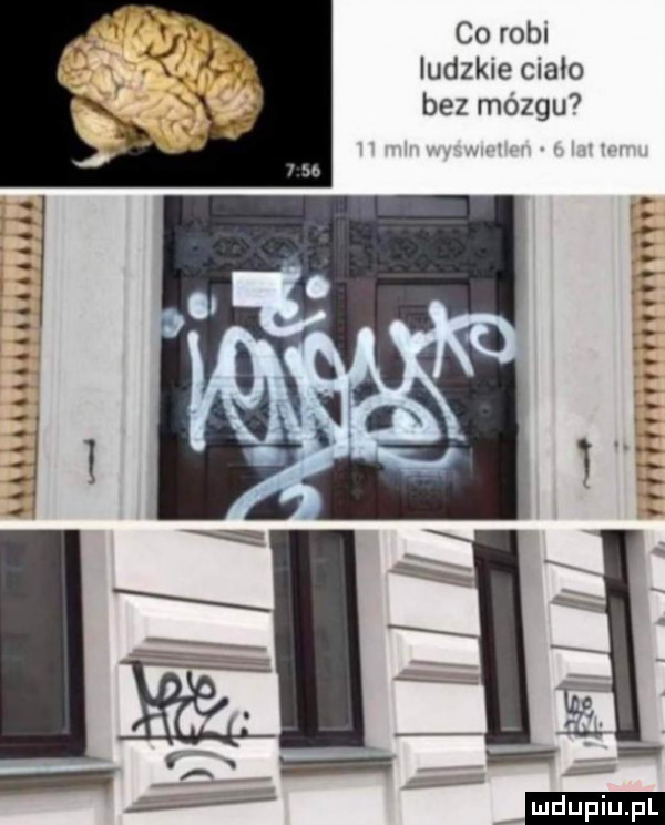 corom ludzkie cialo bezrnózgu  th