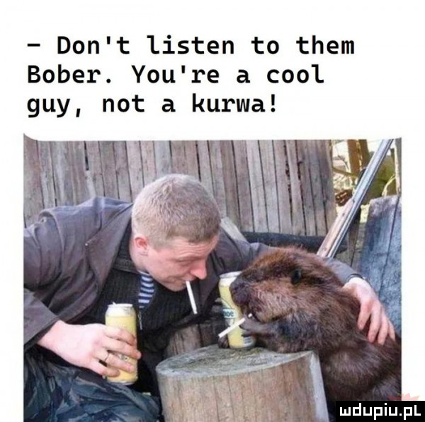 don t listen to them bober. y-u re a cool gay not a kurwa