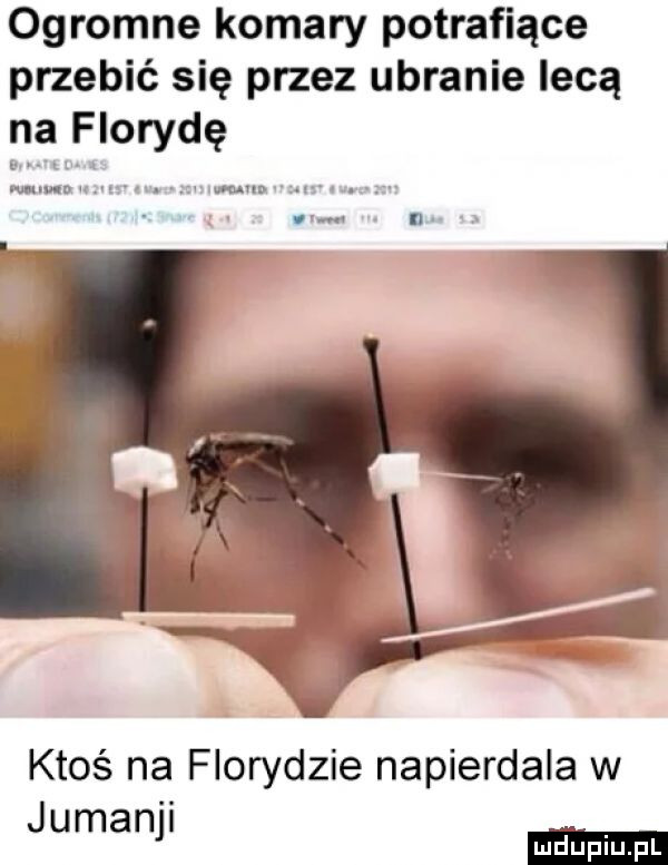 ogromne komary potrafiące przebić się przez ubranie lecą na florydę ktoś na florydzie napierdala w jumanjl