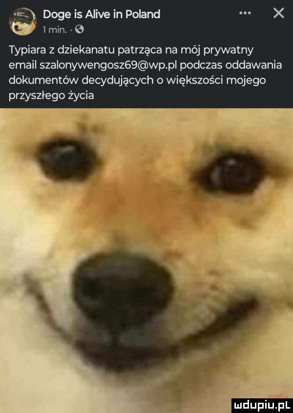 doje is alice in poland x imin typiara z dziekanatu patrząca na mój prywatny email sza onywengoszgs wp pl podczas oddawania dokumentów decydujących o większości mojego przyszłego życia