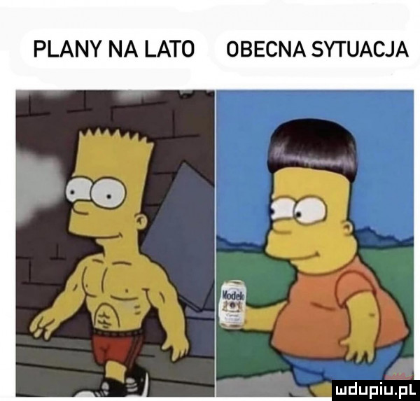 plany na lato obecna sytuacja mdupiu hl