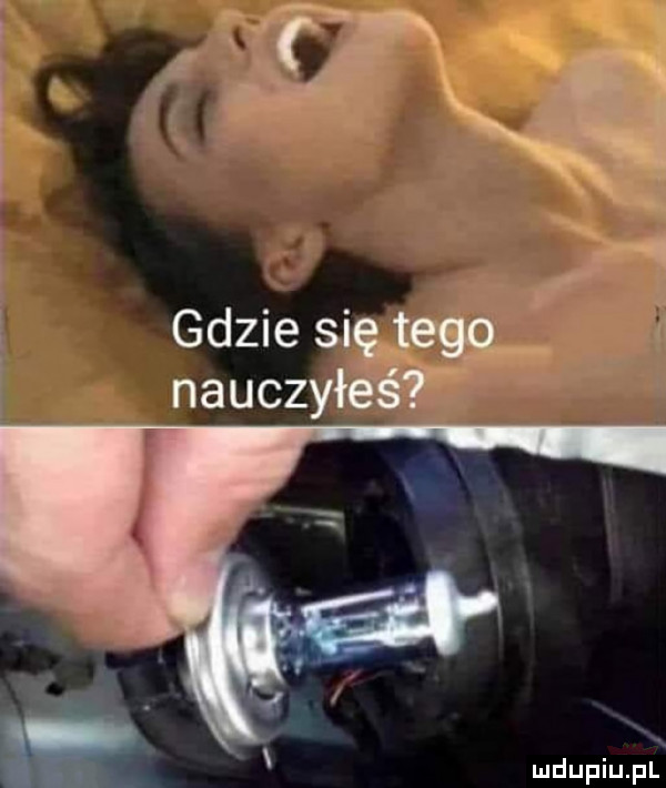 ś gdzie się eeg   nauczyłśśt