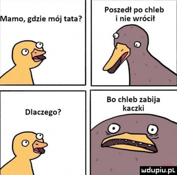 poszedł po chleb mamo gdzie mój tata i nie wrócil bo chleb zabija dlaczego kaczki