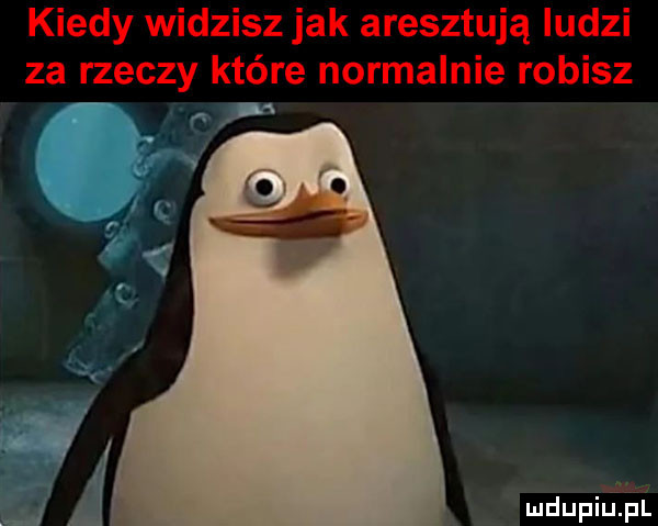 kiedy widzisz jak aresztują ludzi za rzeczy które normalnie robisz j