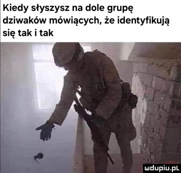 kiedy słyszysz na dole grupę dziwaków mówiących że identyfikują się tak i tak