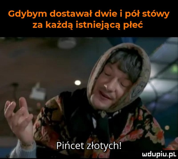 gdybym dostawał dwie i pół stówy za każdą istniejącą płeć vﬂ. a pincet złotych